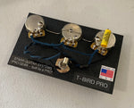 Wiring Harness for Gibson Thunderbird Bass: PRO