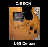 Wiring Harness for Gibson L6-S Deluxe